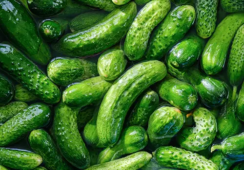 cucumber